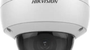 WhatsApp Image 2023-07-31 at 5.14.51 PM