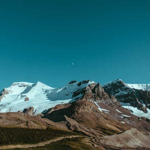 Global Solutions (ديمو)
